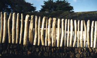 Carbis Bay: Picket Fencing