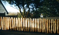 Carbis Bay: Picket Fencing