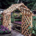 Cornish Nurseries: Rose Arbour