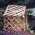 Cornish Nurseries: Rose Arbour