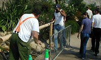 Eden Project: Hand Rail