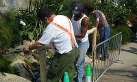 Eden Project: Hand Rail