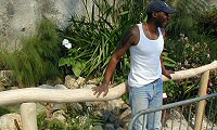 Eden Project: Hand Rail