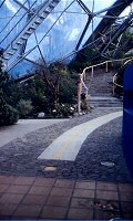 Eden Project: Hand Rails