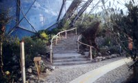 Eden Project: Hand Rails