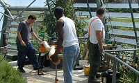 Eden Project: Hand Rail