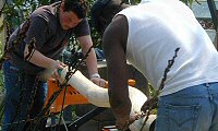 Eden Project: Hand Rail