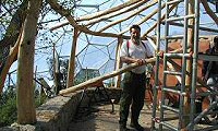 Eden Project: Pergola