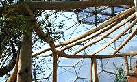 Eden Project: Pergola