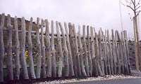 Eden Project: Picket Fencing