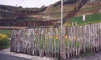 Eden Project: Picket Fencing