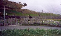 Eden Project: Picket Fencing