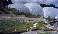 Eden Project: Picket Fencing