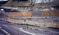 Eden Project: Picket Fencing