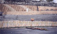 Eden Project: Picket Fencing