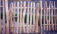 Eden Project: Picket Gate