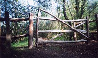 Tamar Valley Gorge: Gate