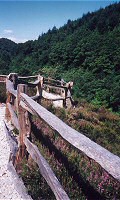 Tamar Valley Gorge: Post and Rail