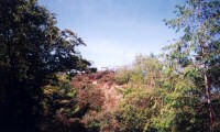 Tamar Valley Gorge: Post and Rail