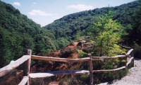 Tamar Valley Gorge: Post and Rail