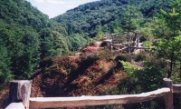 Tamar Valley Gorge: Post and Rail