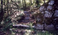 Tamar Valley Gorge: Steps